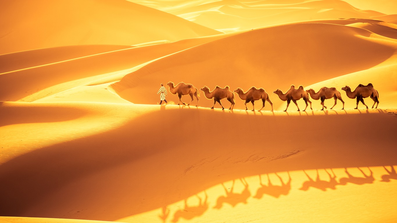Xinjiang Desert Exploration by Camel Ride(Urumqi -Taklimakan desert -Kucha - Urumqi)