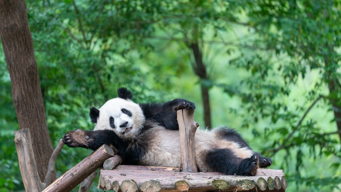 11 Days of Beijing - Xi'an - Chengdu - Shanghai